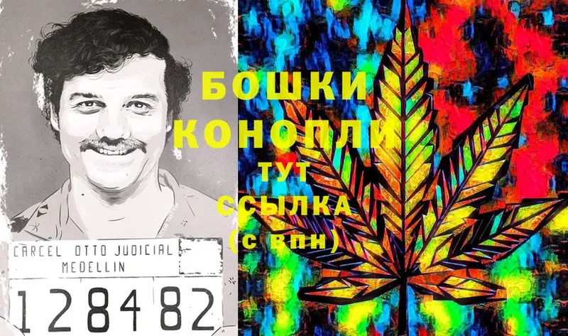 Каннабис SATIVA & INDICA  Багратионовск 